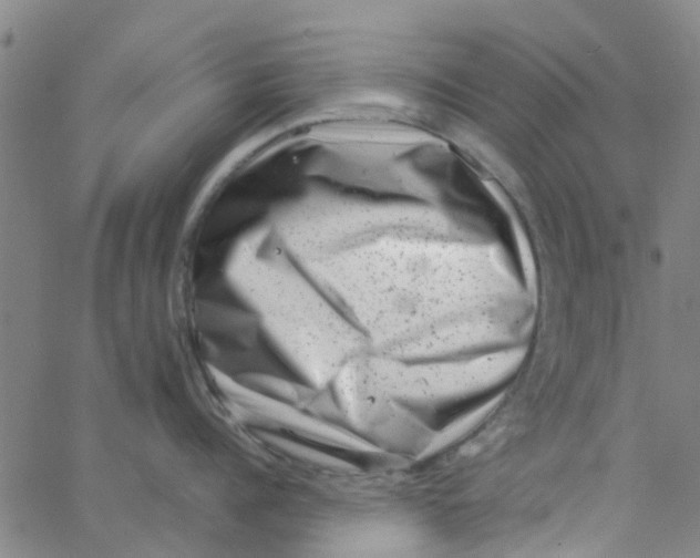 X0000062790960200601121311