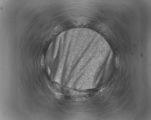 X0000062790963200601121310