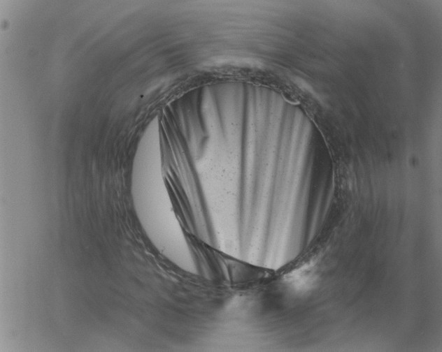 X0000062790965200601121310