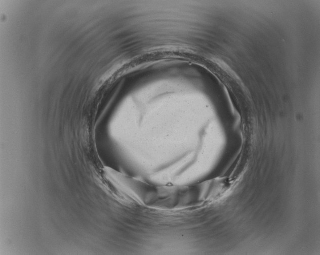 X0000062790969200601121310
