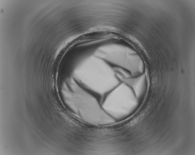 X0000062790973200601121310