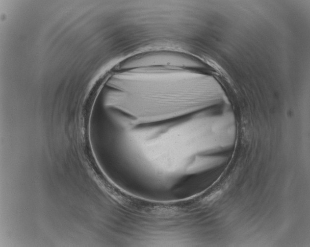 X0000062790981200601121310
