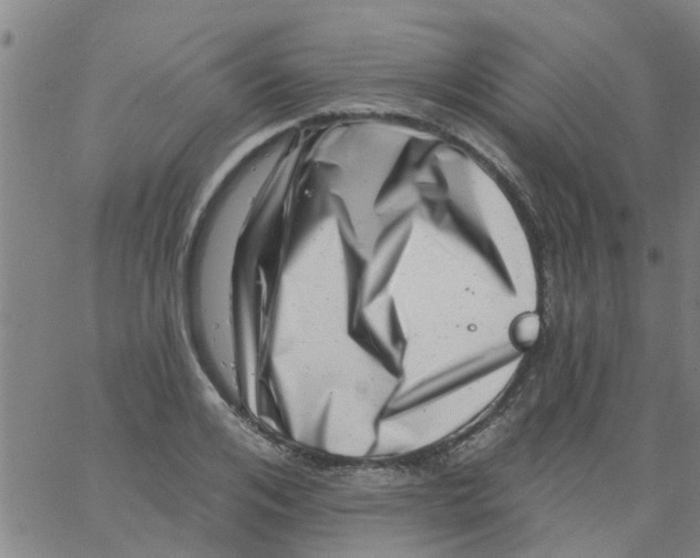 X0000062790984200601121310