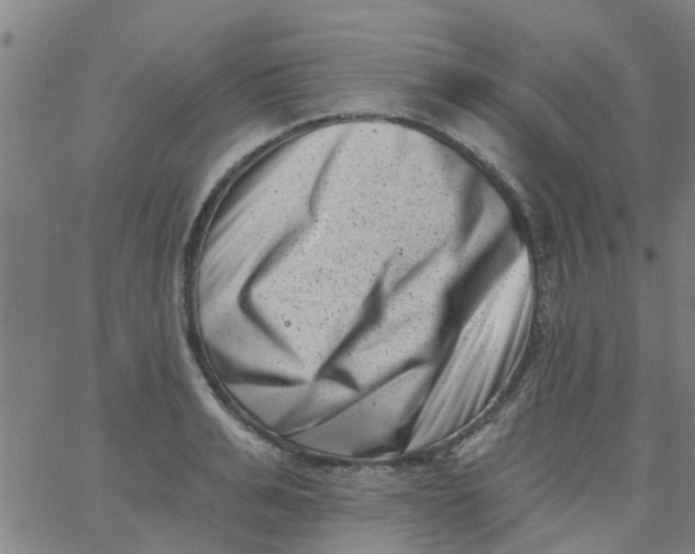 X0000062790991200601121310