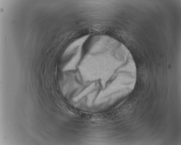X0000062791009200601121309