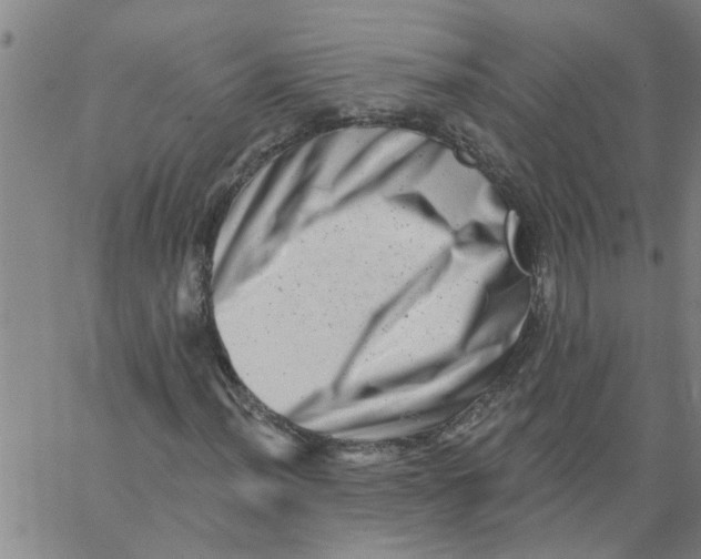 X0000062791012200601121309