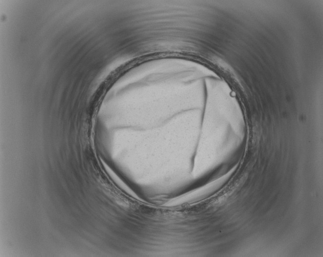 X0000062791019200601121309