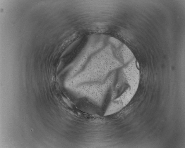 X0000062791058200601121309