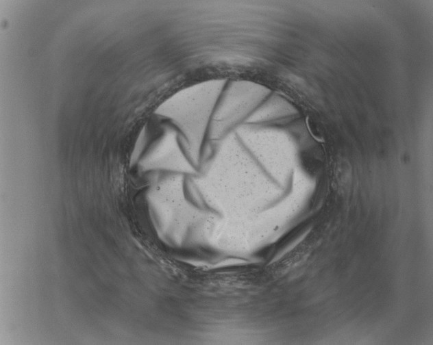X0000062791061200601121309
