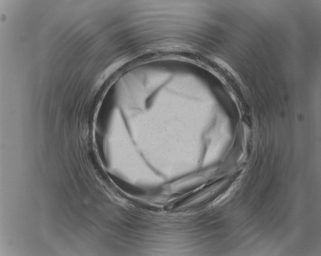 X0000062791065200601121309