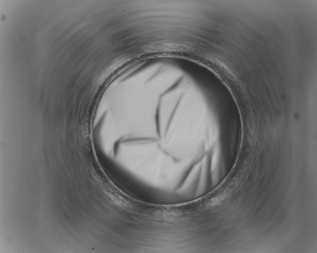 X0000062791073200601121308