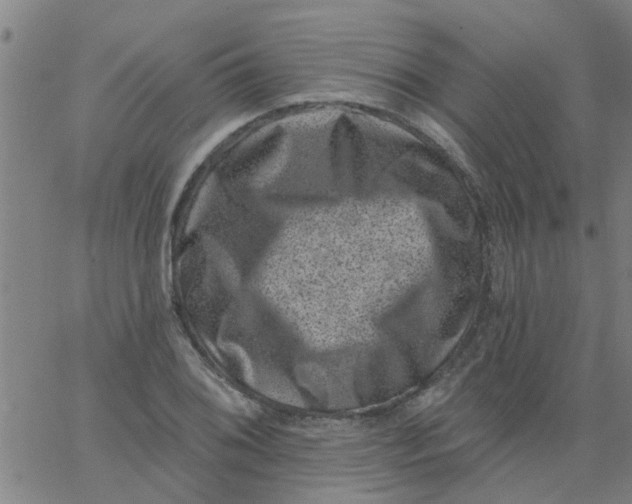 X0000062791076200601121308