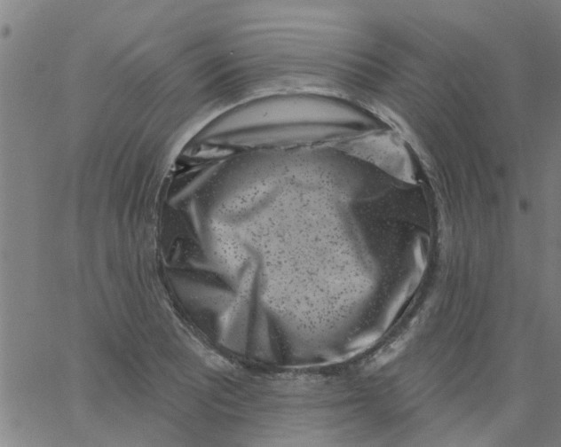 X0000062791081200601121308
