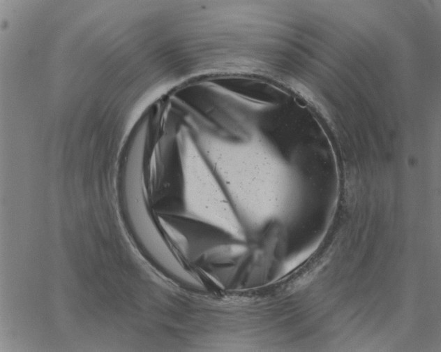 X0000062791085200601121308