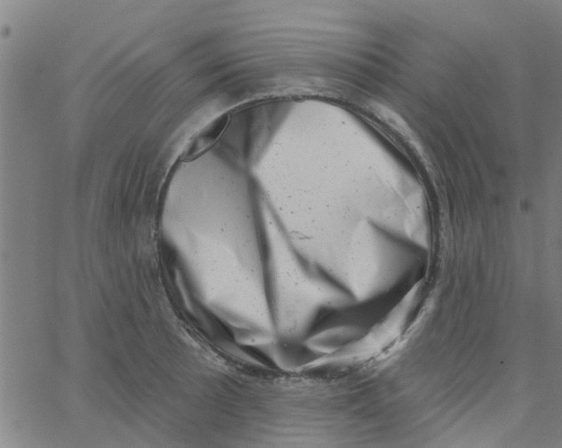 X0000062791089200601121308