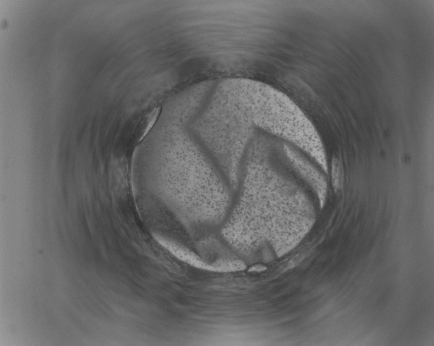 X0000062791107200601121307
