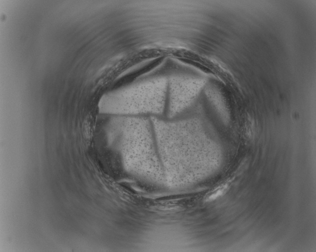 X0000062791110200601121307