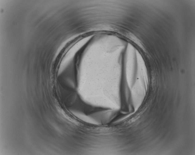 X0000062791116200601121307