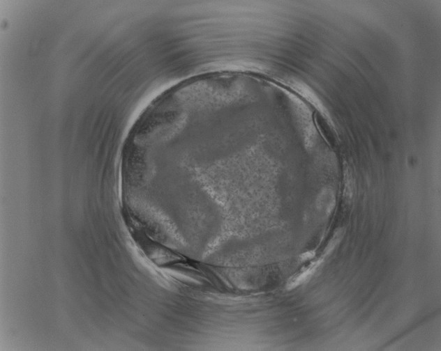 X0000062791132200601121308