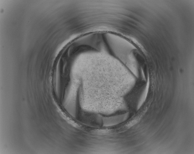 X0000062791134200601121308