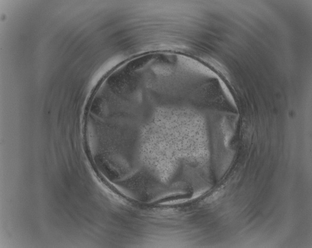X0000062791135200601121308