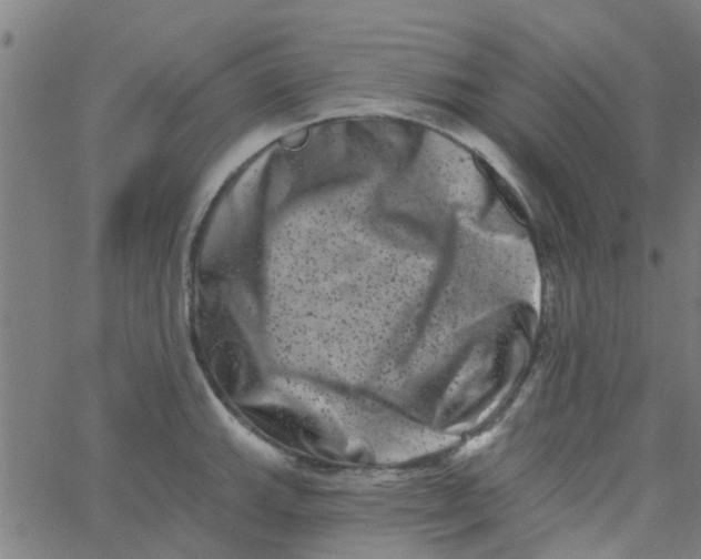 X0000062791143200601121308