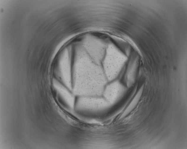 X0000062791148200601121308