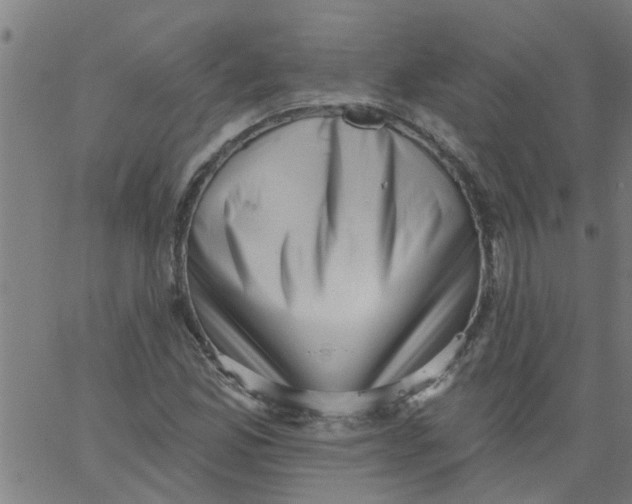 X0000062791165200601121307
