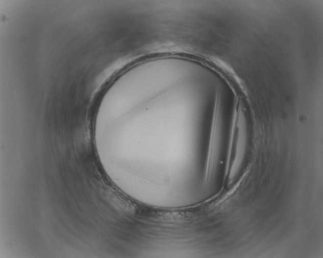 X0000062791167200601121307