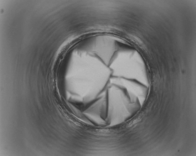 X0000062791172200601121307