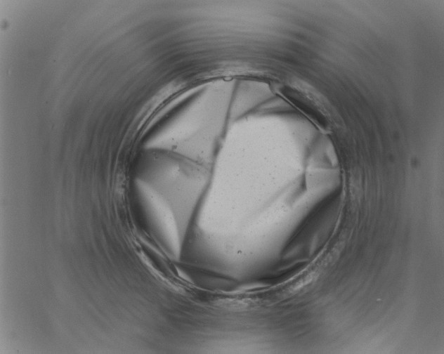 X0000062791185200601121306