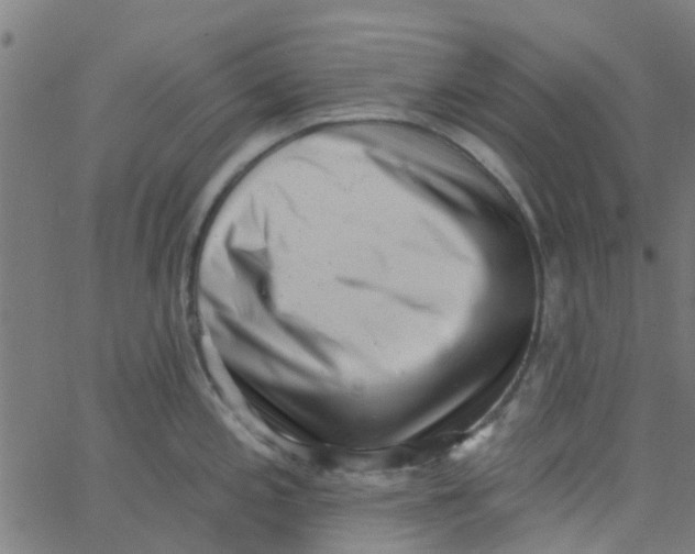 X0000062791197200601121306