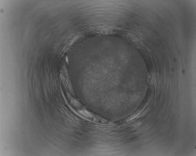X0000062791202200601121305