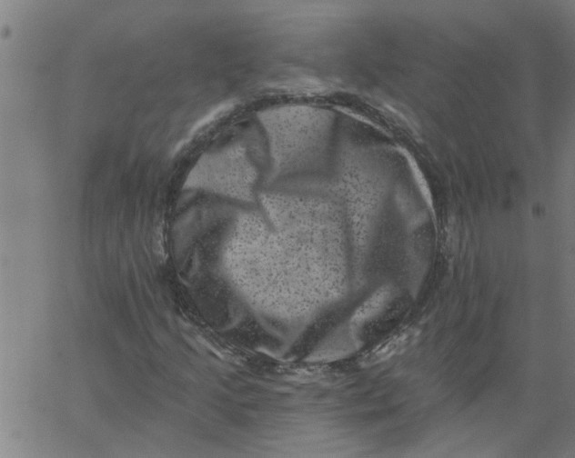 X0000062791205200601121305