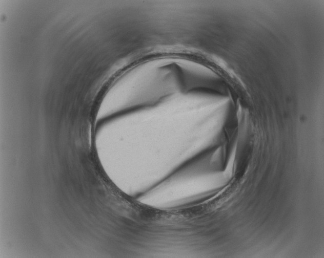 X0000062791221200601121306