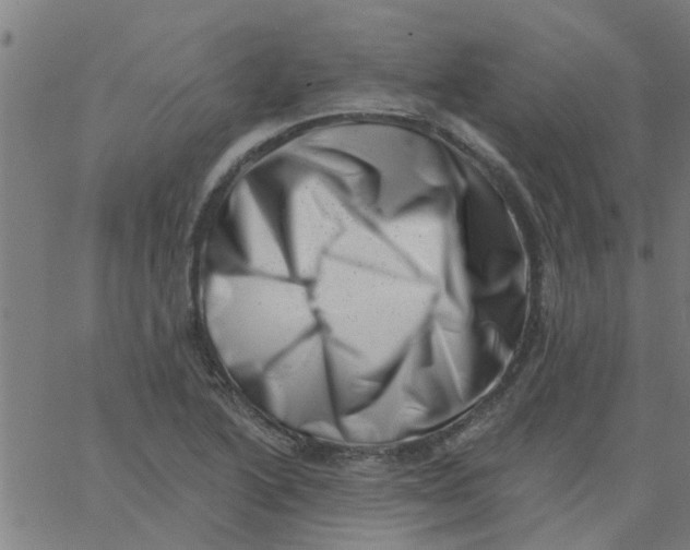 X0000062791222200601121306