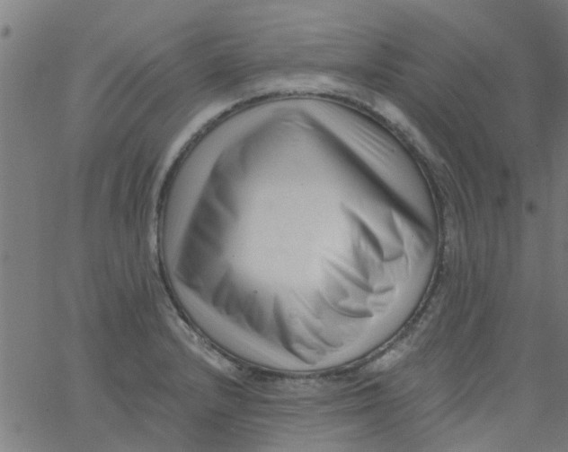 X0000062791232200601121306