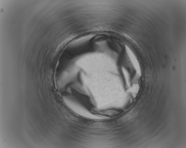 X0000062791265200601121305