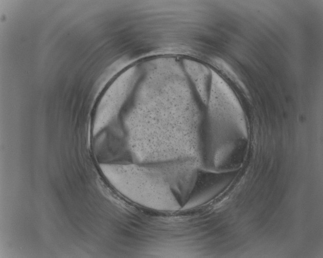 X0000062791276200601121305