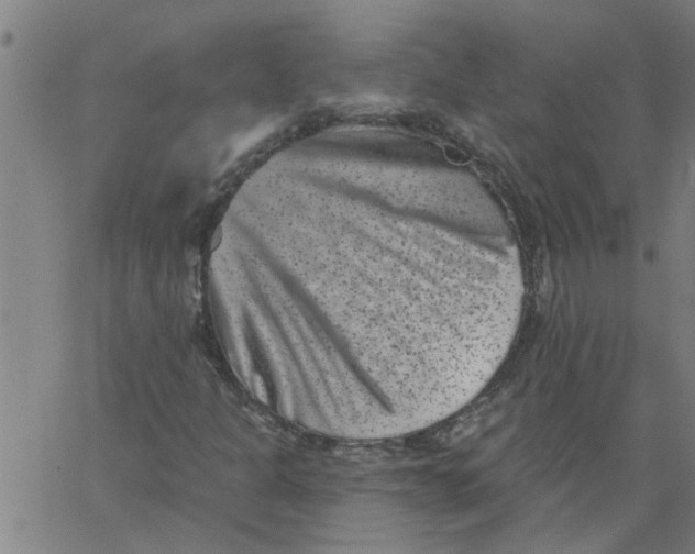 X0000062791301200601121304