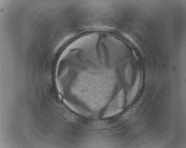 X0000062791307200601121304
