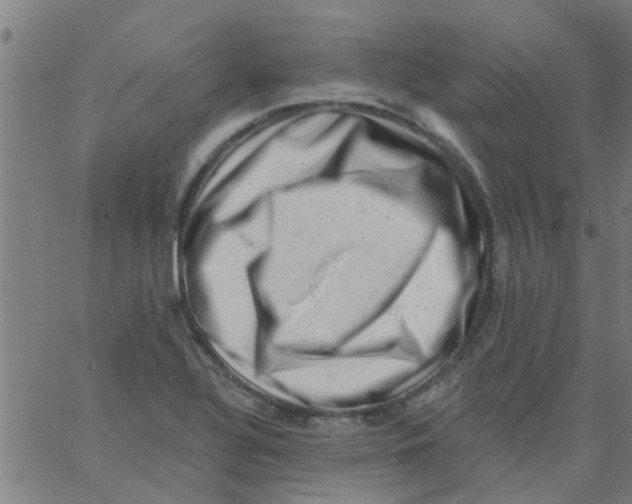 X0000062791320200601121304