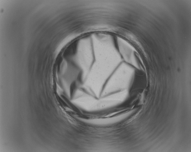 X0000062791328200601121304