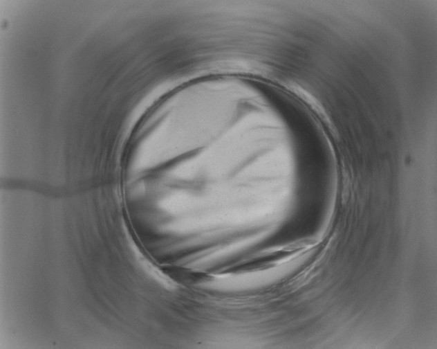 X0000062791342200601121305