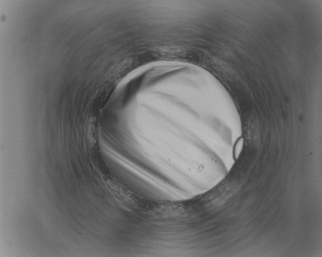 X0000062791346200601121304