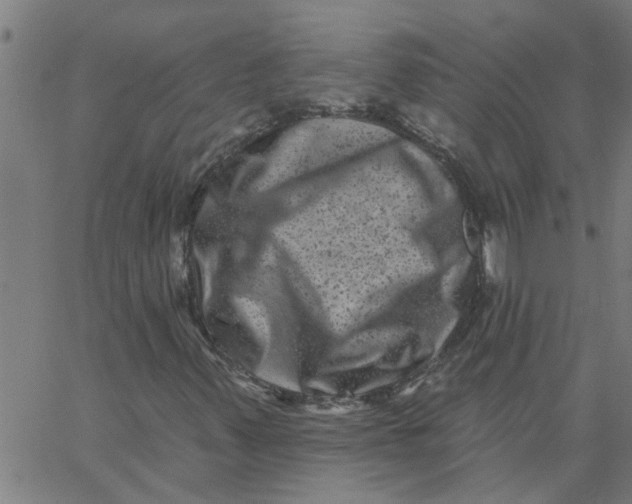 X0000062791347200601121304