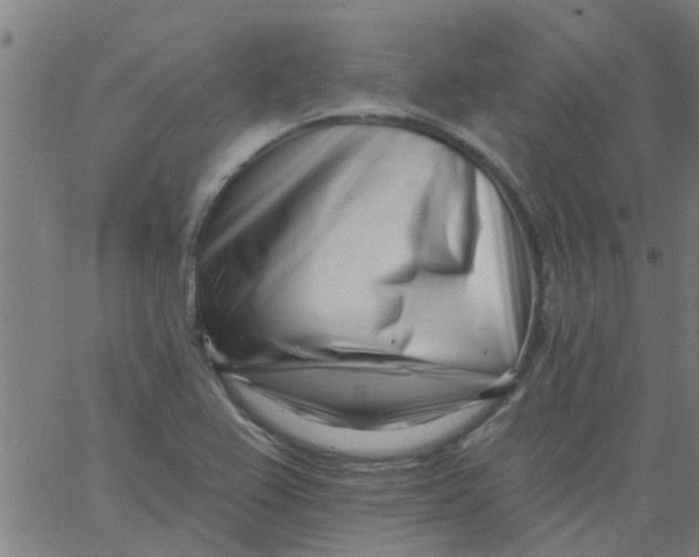 X0000062791367200601121303