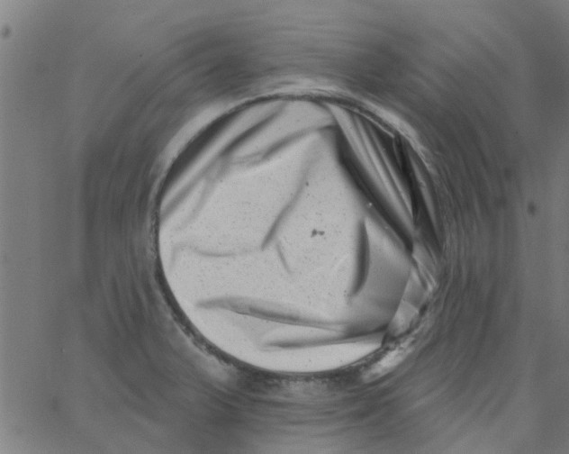 X0000062791375200601121303