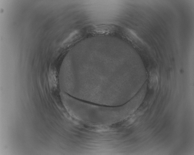 X0000062791394200601121302