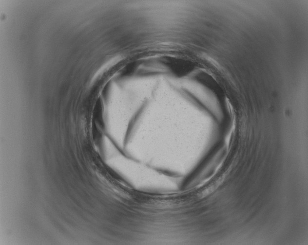 X0000062791402200601121302